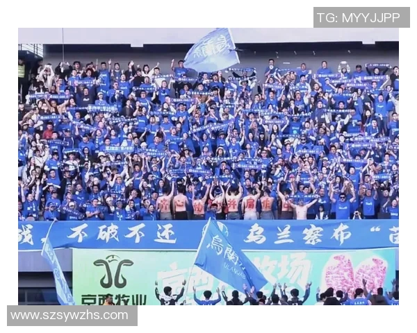 足球圈内的荣耀与挑战球员转会背后的故事与未来展望 足球圈内的荣耀与挑战球员转会背后的故事与未来展望