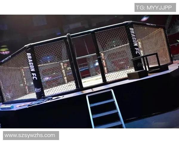 职业拳击与综合格斗的较量：两种格斗艺术的魅力与挑战解析