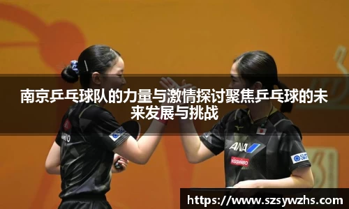南京乒乓球队的力量与激情探讨聚焦乒乓球的未来发展与挑战
