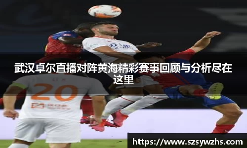 武汉卓尔直播对阵黄海精彩赛事回顾与分析尽在这里